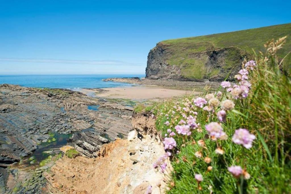 Bantry At Crackington Haven, Near And Boscastle, Cornwall Bude